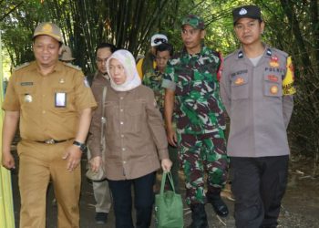 Atasi Permasalahan Sampah, Lurah Lakkang Hadirkan Rumah Budidaya Maggot
