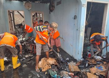 Pasca Kebakaran, Camat Tallo Perintahkan Jajaran Membersihkan Puing-puing Sisa Kebakaran