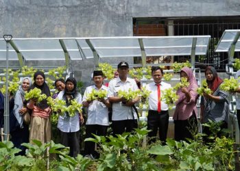 Panen Sayuran,  Plt Kadis Ketapang Apresiasi Sinergitas Kelompok Wanita Tani As-Zahrah