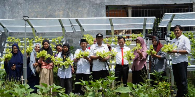 Panen Sayuran,  Plt Kadis Ketapang Apresiasi Sinergitas Kelompok Wanita Tani As-Zahrah
