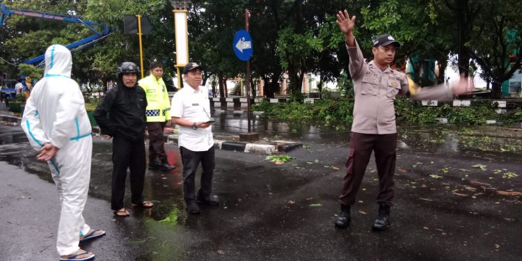 Angin Kencang Sebabkan Pohon Tumbang di Mattirotasi, Personil Polsek Ujung Bertindak