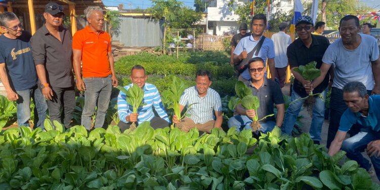 Didampingi Ketua Forum Dewan Lorong, Plt Kadis Ketapang Makassar Tinjau Kebun di Kelurahan Bontorannu