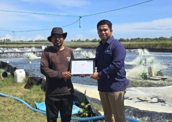 Tambak Udang di Sulawesi Selatan Hemat Belasan Juta per Bulan Berkat Listrik Hijau PLN