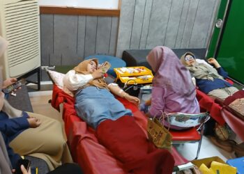 Memeriahkan Hari Kemerdekaan, PLN Bersama UPT Transfusi Darah Sulawesi Selatan Gelar Donor Darah