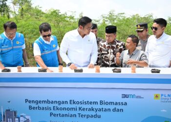 Terus Kembangkan Bahan _Co-Firing_ Biomassa, PLN Bersama Kementan Luncurkan Model Pertanian Terpadu