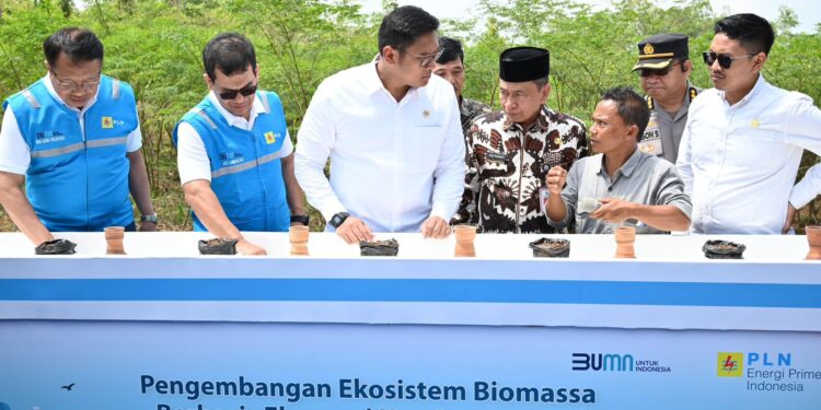 Terus Kembangkan Bahan _Co-Firing_ Biomassa, PLN Bersama Kementan Luncurkan Model Pertanian Terpadu