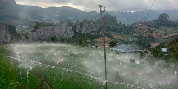 Listrik Hijau dari PLN Mampu Tekan Biaya Operasional Petani di Sulsel Hingga 83 Persen