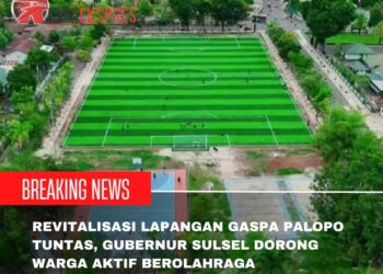 Revitalisasi Lapangan Gaspa Palopo Tuntas, Gubernur Sulsel Dorong Warga Aktif Berolahraga